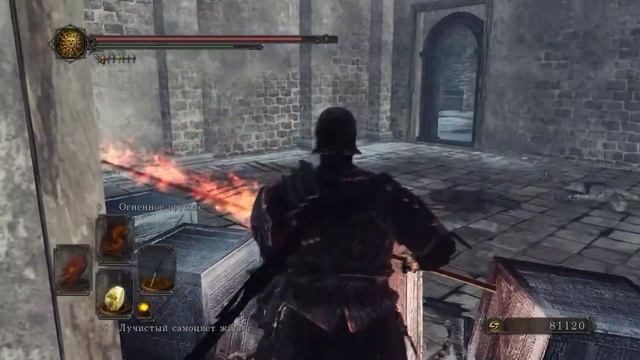 Dark Souls II Scholar of the First Sin - Ледяная Элеум Лойс [33]