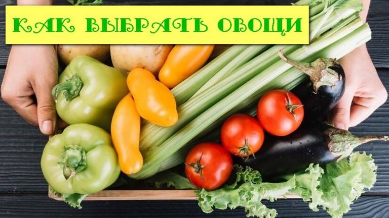 Как выбирать овощи. Как отличить хорошие свежие овощи от некачественных