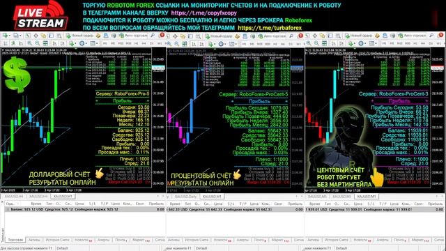 ТОРГУЮ РОБОТОМ ФОРЕКС ХОРОШАЯ ПРИБЫЛЬ смотреть онлайн