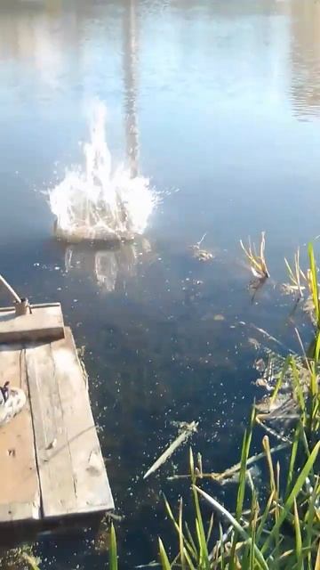 Когда друг дурак #1 смотреть онлайн