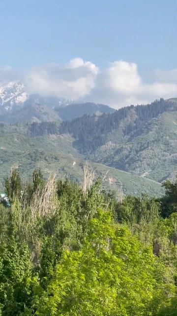 Almaty city tour. 3 мая 2025. Один день из жизни города. #almaty #kazakhsta смотреть онлайн