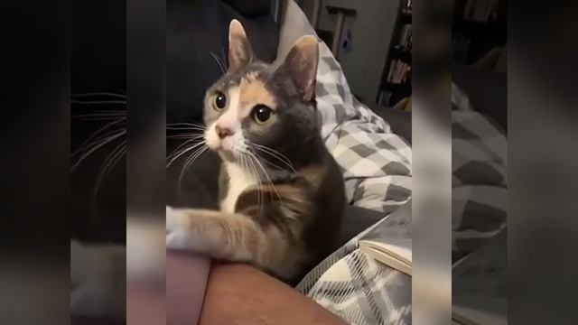 Ты самый главный человек в моей жизни смотреть онлайн