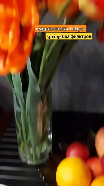 эти тюльпаны это что-то необыкновенное, - похожи на пио смотреть онлайн