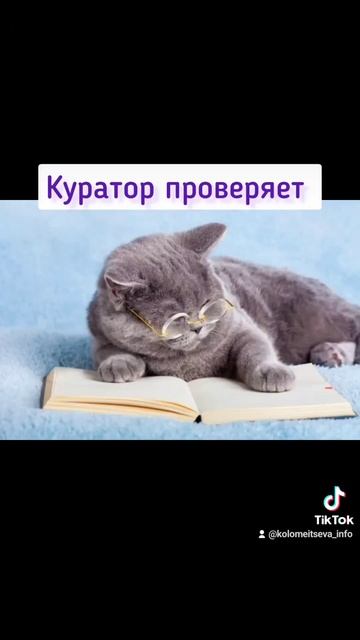 Курс "Годовой отчёт за 60 минут и сверка с формой 300.00 " смотреть онлайн