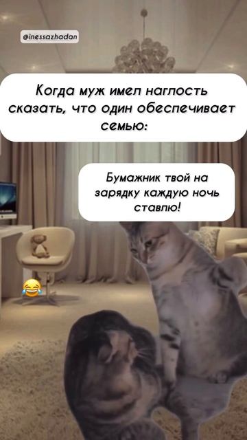 Когда муж имел наглость сказать, что один обеспечивает семью: смотреть онлайн