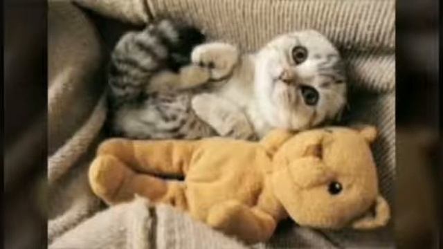 колесо обозрения . смотреть онлайн