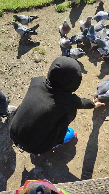 в этих мелочах и есть жизнь смотреть онлайн