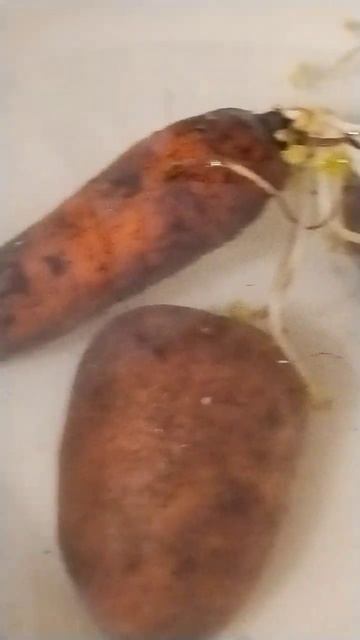 чтобы не жалеть себя и не болеть нужно супчик кушать к? смотреть онлайн