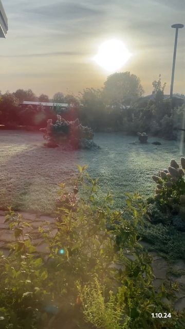 #иней #заморозок #кашпоспб  #озеленениеучастка #гортен?