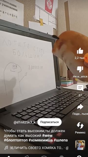 если хочешь быть высоким думай как высокий #windi31 #прико смотреть онлайн