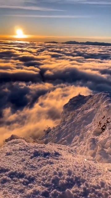 СВЕЖИЙ ВОЗДУХ — ЭТО ХОРОШО, ОСОБЕННО, ЕСЛИ ЕСТЬ, С КЕМ ? смотреть онлайн