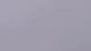 Николаевские голуби последние осенние полёты