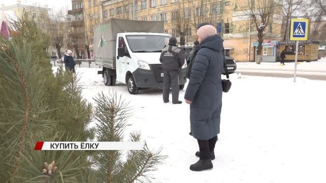 Где подешевле купить ёлку в Улан-Удэ смотреть онлайн