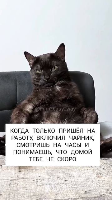 Когда только пришёл на работу , включил чайник , смотришь на часы и понимаешь смотреть онлайн