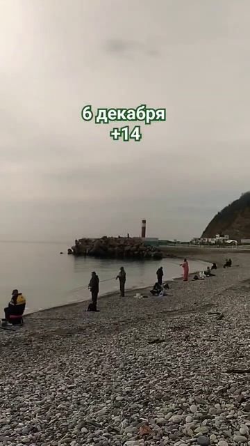 🐠Морская рыбалка в разгаре #черноеморе #жизньнаморе #
