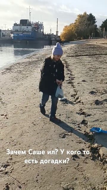 У каждого свои развлечения 😉 #sasha #bugs #букашки #terrarium #cut смотреть онлайн