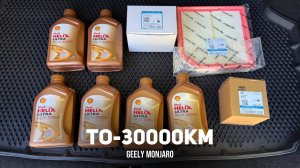 ТО-30000км. Льем Shell,уровень масла,замена воздушного фильтра,сброс ТО Джили Монжаро/ Geely Monjaro