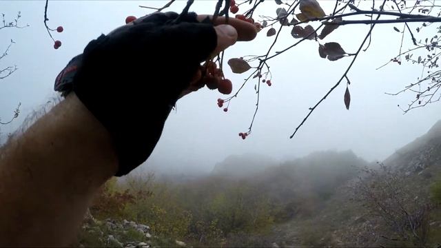 ТруЭпик 2020 День Первый, Боярышник туманный смотреть онлайн