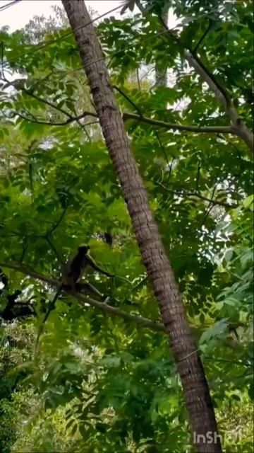 Ты и есть главное чудо #цитата #умнаямысль #мудрость #sup смотреть онлайн