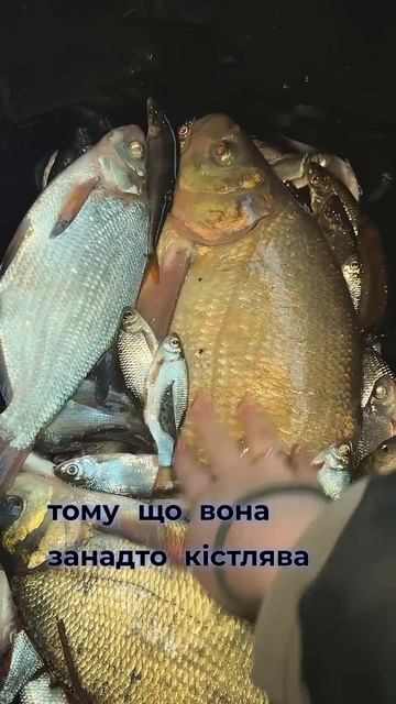 #сельскаяжизнь #деньвдеревне #жизньзагородом #рибалка