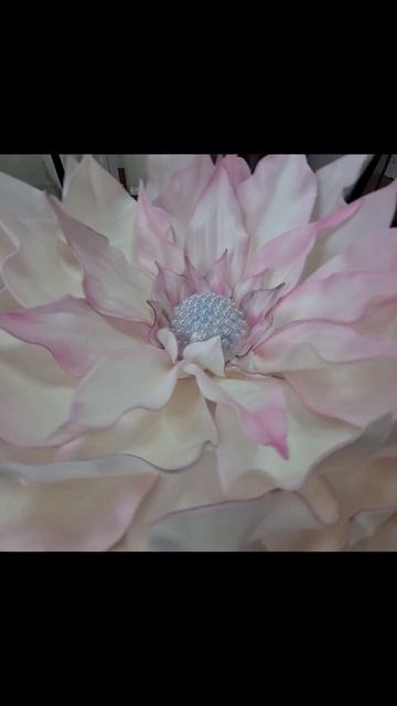 КЛЕМАТИС #цветы #billieeilish #семья #розы #свадьба #фотозона смотреть онлайн