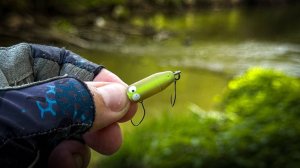СТАВЛЮ ЭТУ ПРИМАНКУ и СРАЗУ ПОКЛЕВКА! / ПЕРВАЯ РЫБАЛКА НА ТОП ВОТЕРЫ ПО ГОЛАВЛЮ 2025