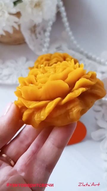 Новый ароматный пион. Пахнет словно баночка мёда. #так? смотреть онлайн
