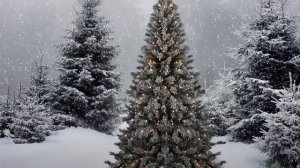 В ЛЕСУ РОДИЛАСЬ ЁЛОЧКА-ДЕТСКАЯ НОВОГОДНЯЯ ПЕСНЯ  !