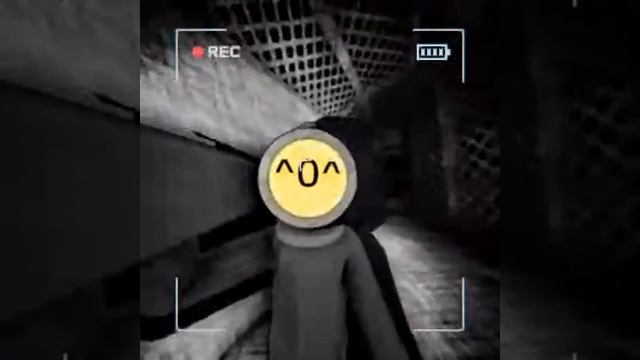 БЛЕНДЕР И ХЛОПУШКА / Шестой поход!