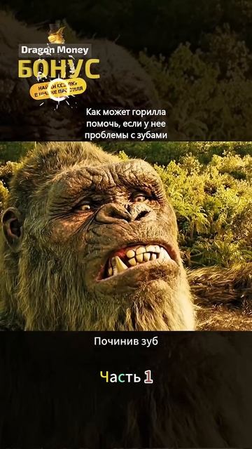 Как может горилла помочь, если у нее проблемы с зубами смотреть онлайн