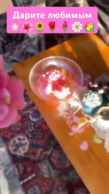 дарите цветы. #врек #cat #trend #милота #цветы #кот #популярн? смотреть онлайн