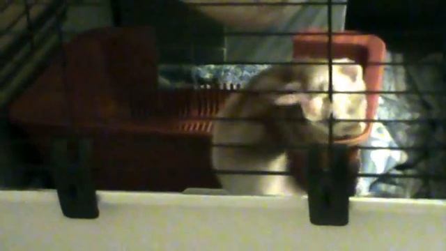 Побег из Шоушенка