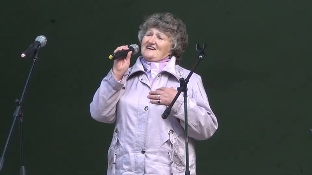 Концерт `Салют победы` ВА `Раздолье`