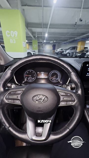 Ты не поверишь - Hyundai Santa-Fe за 2🍋 смотреть онлайн