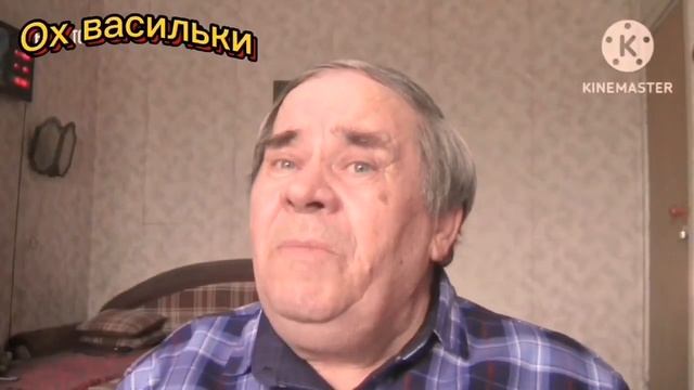 02026 Ох васильки,васильки. Владимимр Дыбин. смотреть онлайн