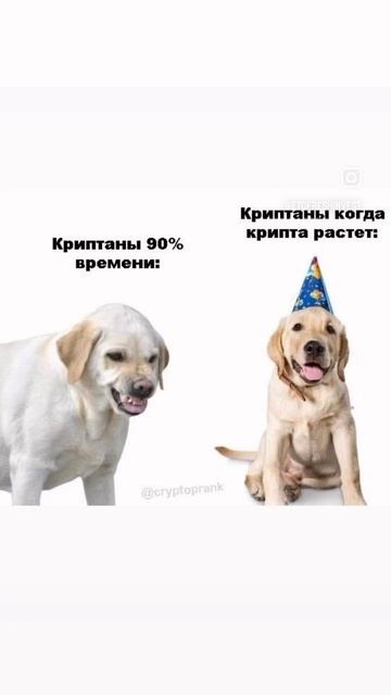 Такс просто такс #трейдинг #трейдер #пассивныйдоход #ф? смотреть онлайн