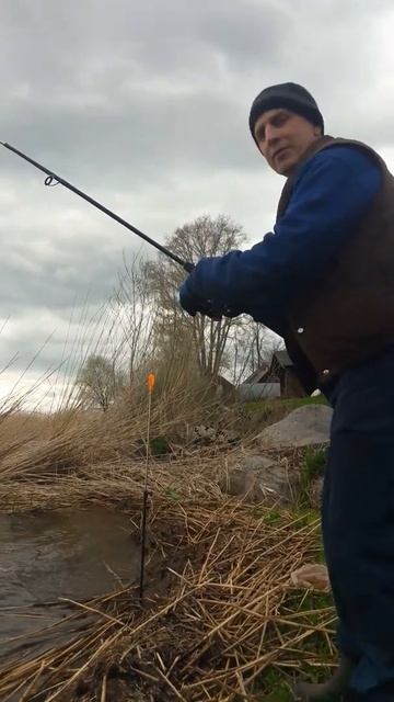 Первая летняя рыбалка на Селигере