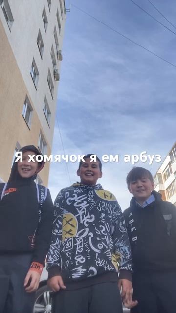 Я хомячок я ем арбуз смотреть онлайн