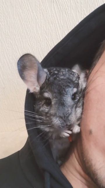 Вкусняха) #всегда хочу есть смотреть онлайн