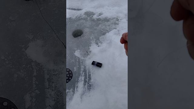 10.02.25 Лесное озеро. ч. 11. Постановка снасти... смотреть онлайн