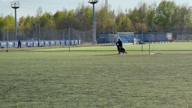 6.  выражено/перв ЮГОРИЯ ЦИРИЛЛА РЕБЕЛЬ (Леруа Мадлен Шерхан – Югория Изис)