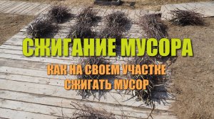 Как сжигать мусор на своем участке и не получить штраф