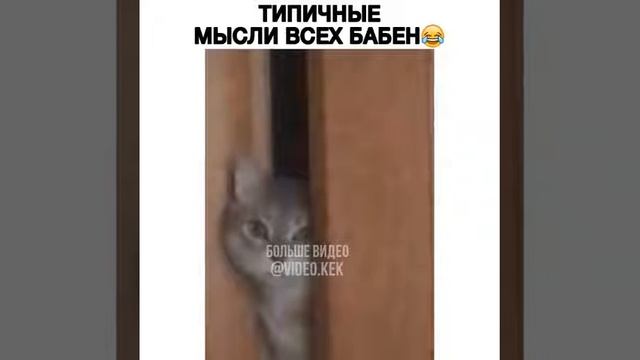 21 веке есть такая проблема это когда ты онлайн :) смотреть онлайн