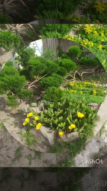 ах летоооо. Дейция и Опунция смотреть онлайн