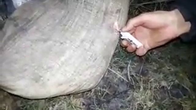 Бессмертный везучий человек смотреть онлайн