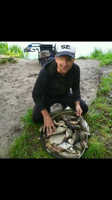 РЫБАЛКА на Фидер 2023! ЛЕЩ, Прикормка. #shorts смотреть онлайн