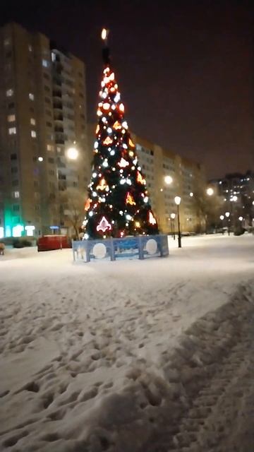 Новогодняя елка в сквере, окраина Петербурга. 14 января смотреть онлайн