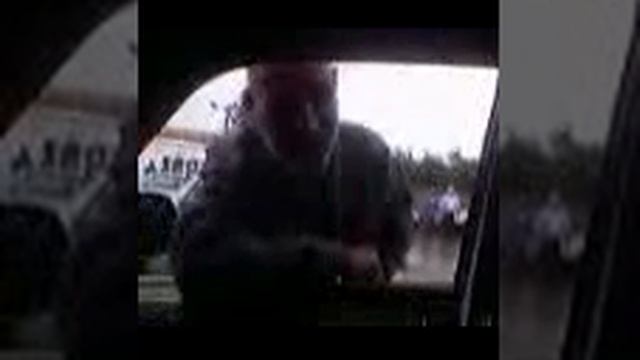 Один интересный Старец. смотреть онлайн