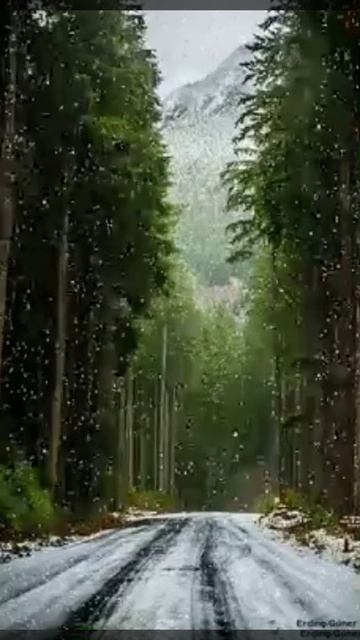 футаж# дорога домой# снег# зима# лес смотреть онлайн