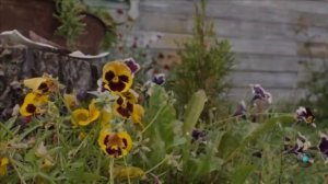 Юрий Антонов Места родные